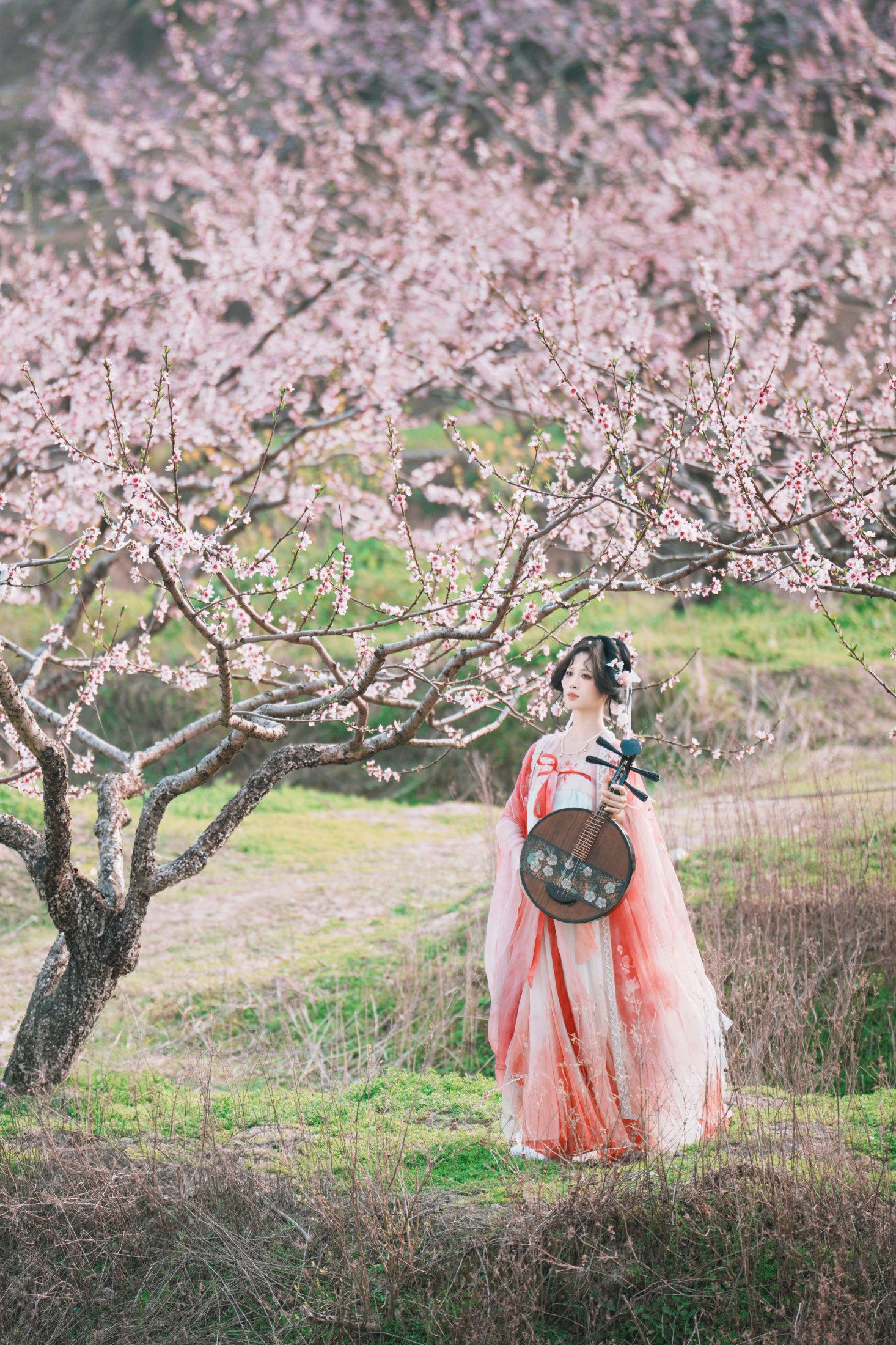 夏煦 – 《古风桃花人像》[19P]